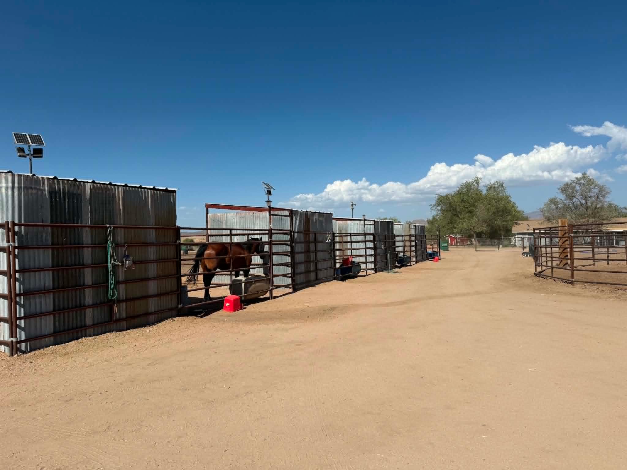 Horse care and feeding at Makin Time Ranch