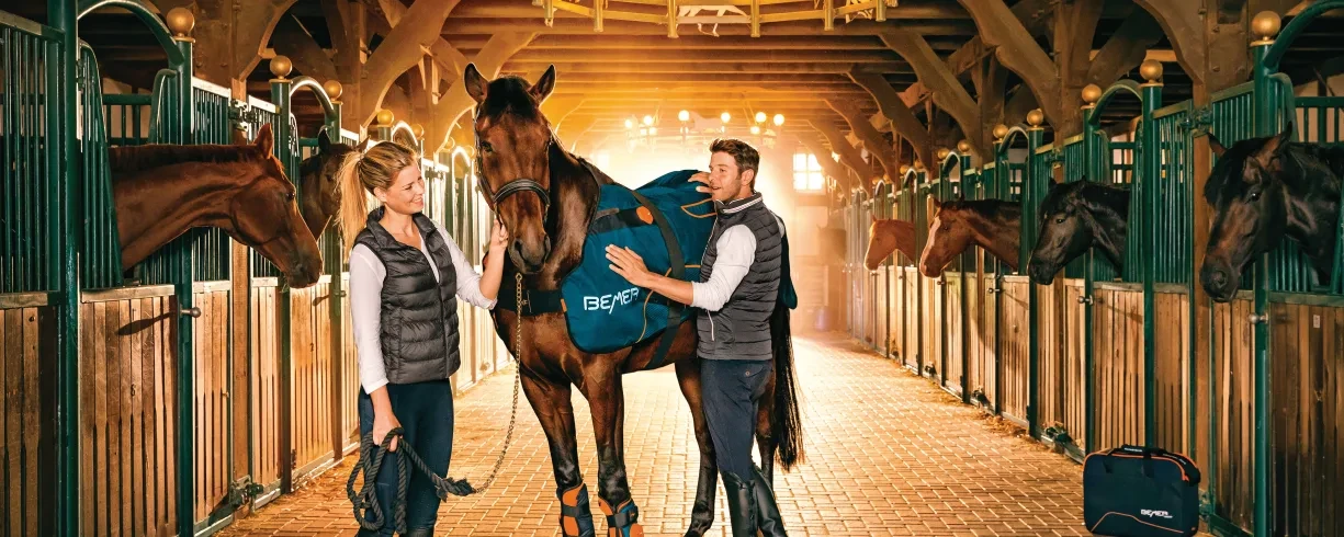 Therapeutic management for horses with chronic conditions